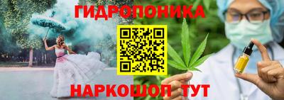 spice Боровичи