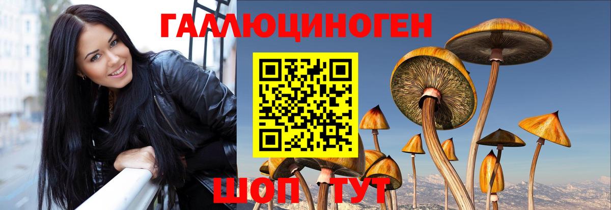 Псилоцибиновые грибы Psilocybe  Вход с VPN  купить закладку  Ртищево  Галлюциногенные грибы MAGIC MUSHROOMS 